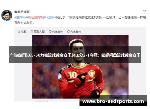 广岛蜻蜓以65-50力克琉球黄金帝王总比分2-1夺冠：蜻蜓问鼎琉球黄金帝王